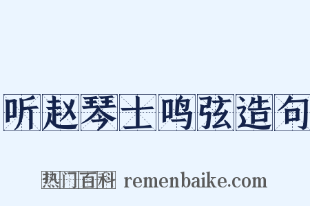 听赵琴士鸣弦造句是什么意思的图片